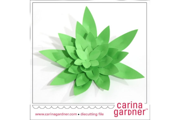 Elevating Craftsmanship with the Spiky Succulent: A Comprehensive Guide to Versatile Digital Assets