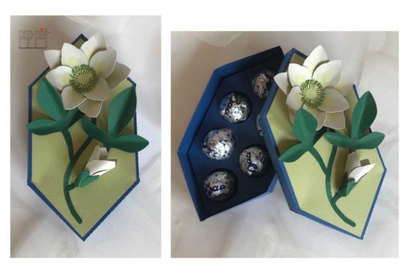 Hellebore Box: The Ultimate Crafting Companion